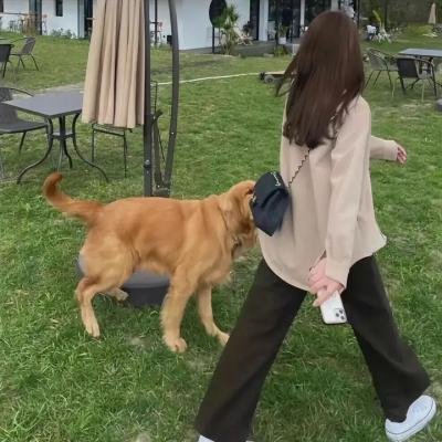 爱要有你才完美